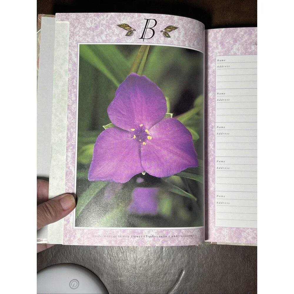 The Address and Telephone Book Names and Numbers at your Fingertips Floral 1990s